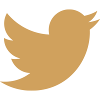 Општина Бела Паланка