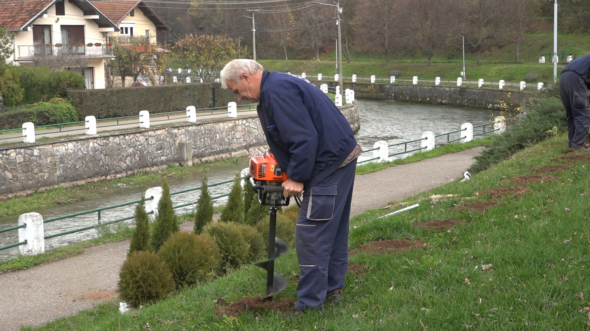 САДЊА ТУЈА И ПЛАТАНА У ПАРКУ ВРЕЛО У ОКВИРУ ПРОЈЕКТА „ЗАШТИТИМО ПРИРОДУ ЗА ЗДРАВИЈУ БУДУЋНОСТ“